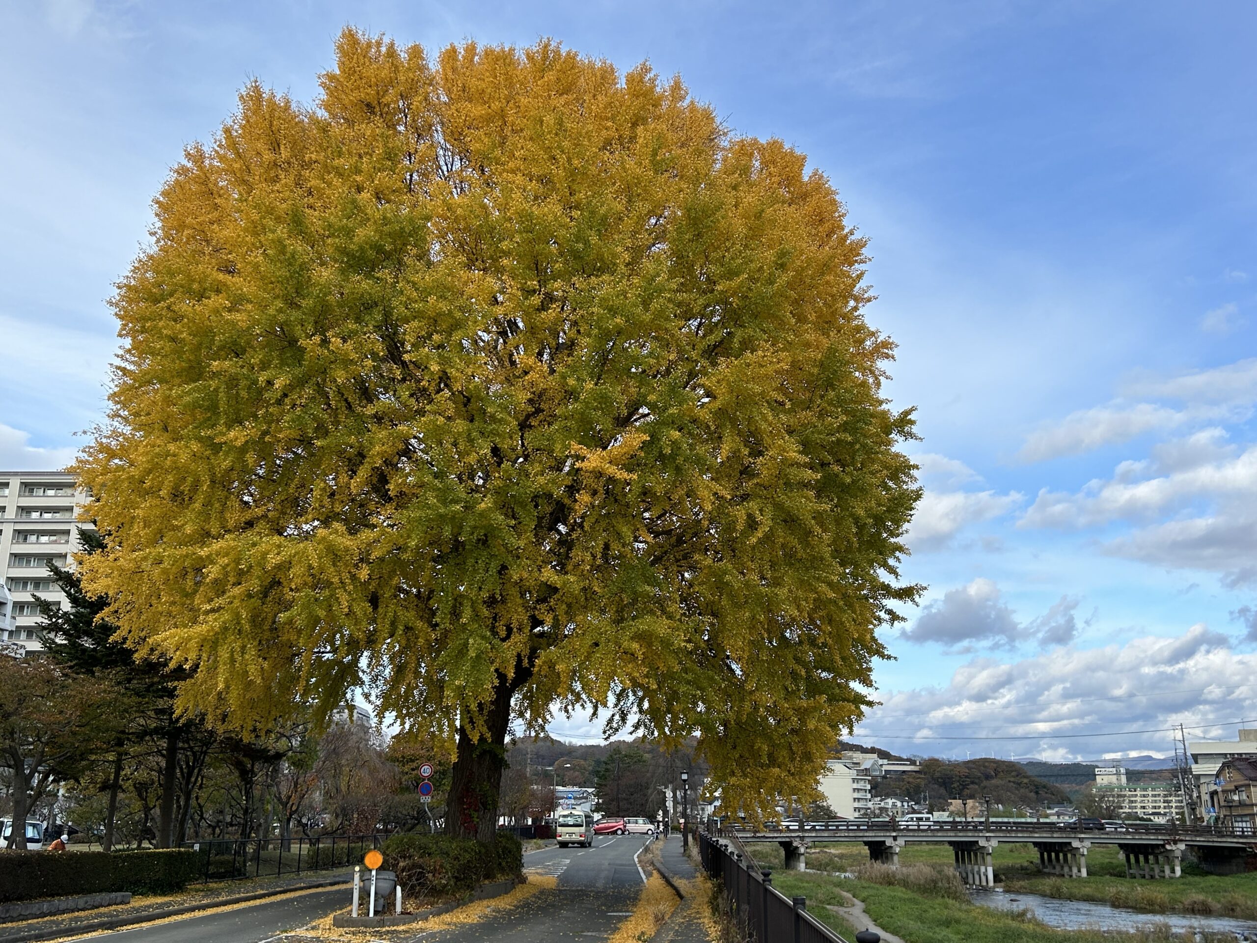 11月末までの予約を開始します。