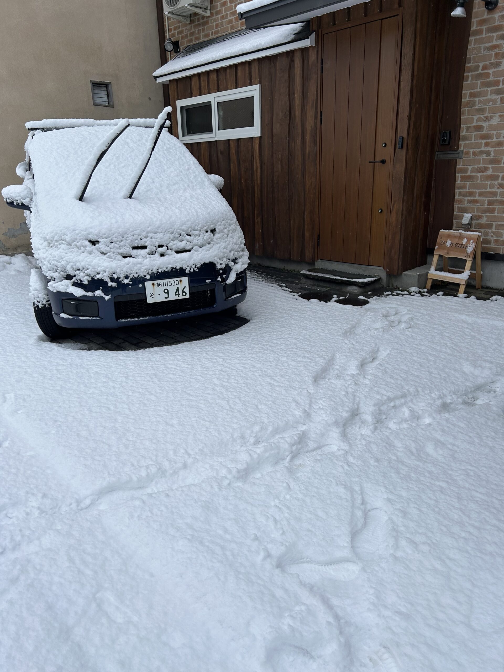 今朝も積もりました。